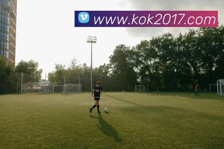 kok体育官网APP 封面图
